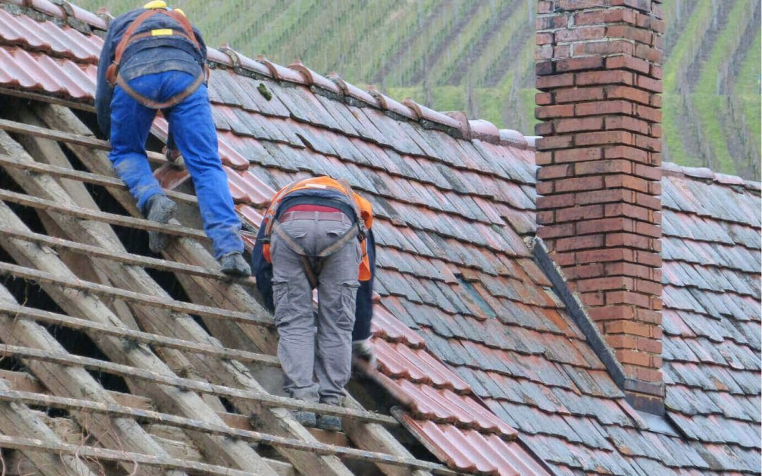 Roof worker truned into your roof a new type roof